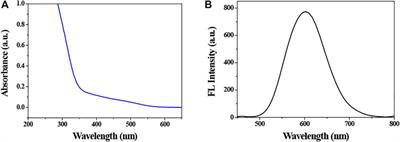 Pb2+ Responsive Cu-In-Zn-S Quantum Dots With Low Cytotoxicity